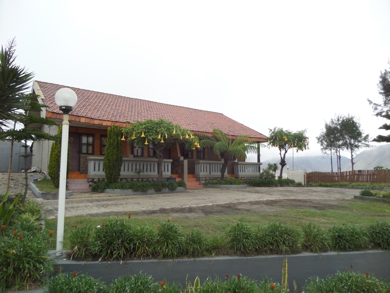 gallery12
